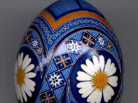 Daisies Ukrainian Easter Egg Pysanky By So Jeo : PYsanky pysanka ukrainian easter egg batik art sojeo flower florals daisy daisies blue orange white